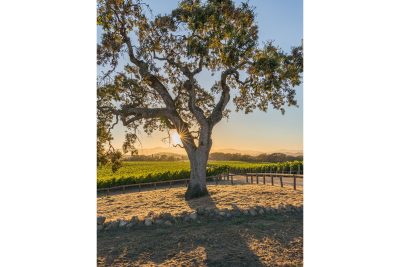 F23 - Meteor House-HR-31_Cropped