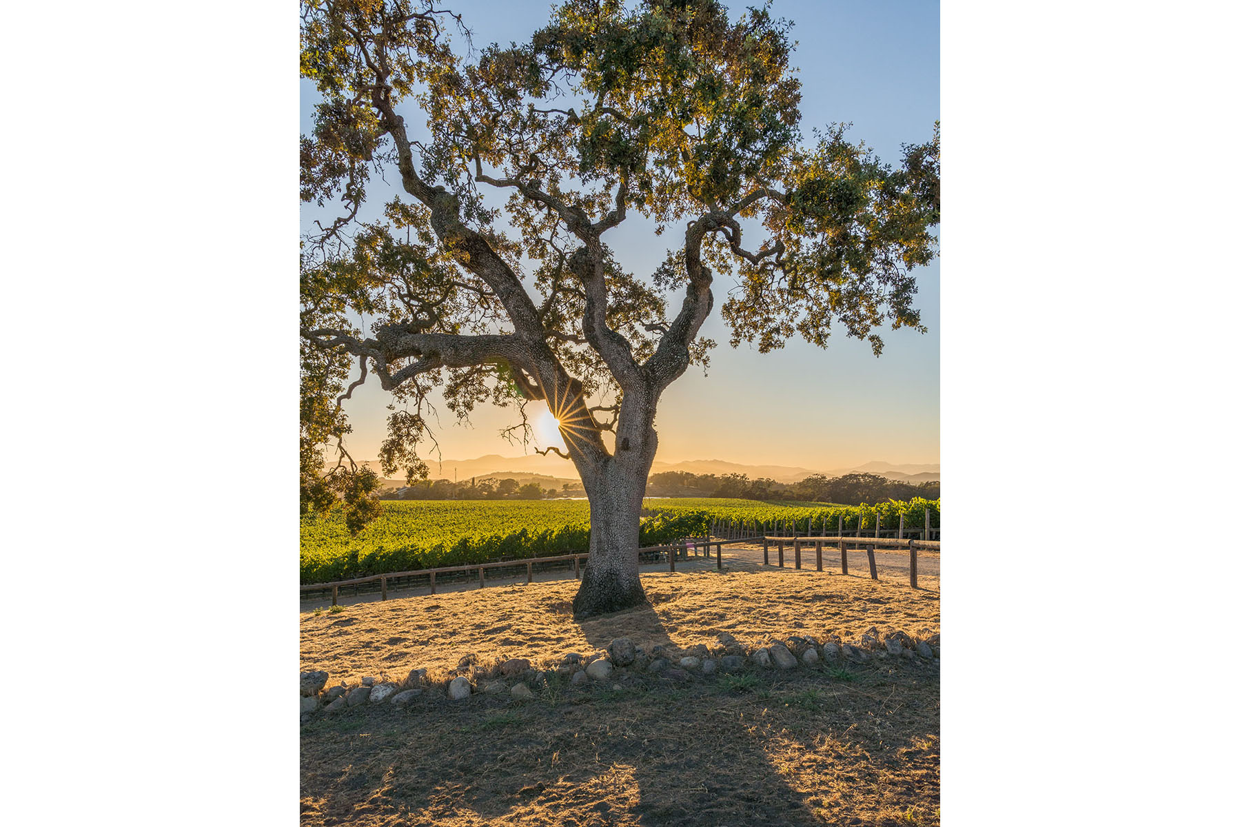 F23 - Meteor House-HR-31_Cropped