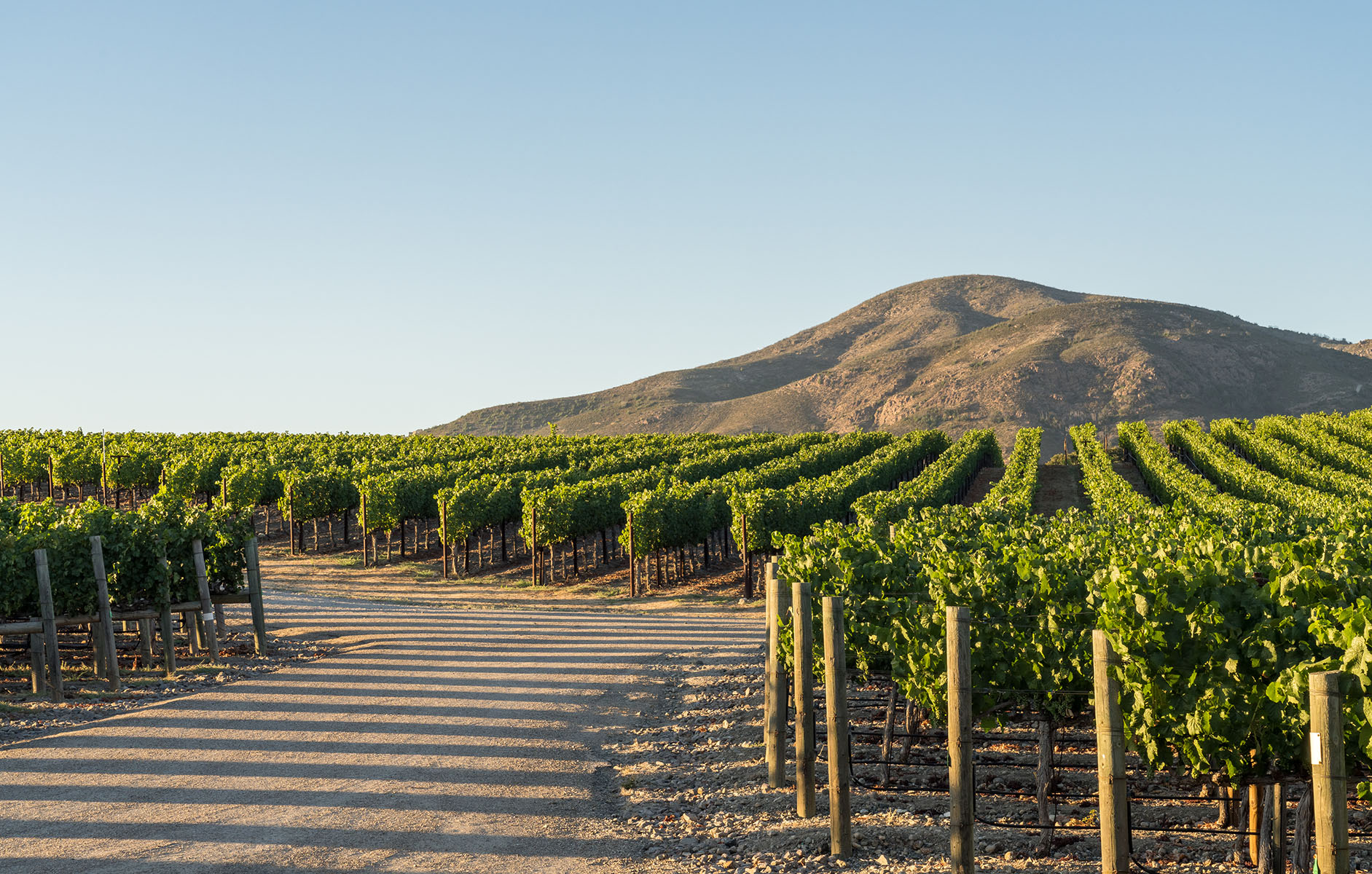 F02 - Meteor House-HR-30