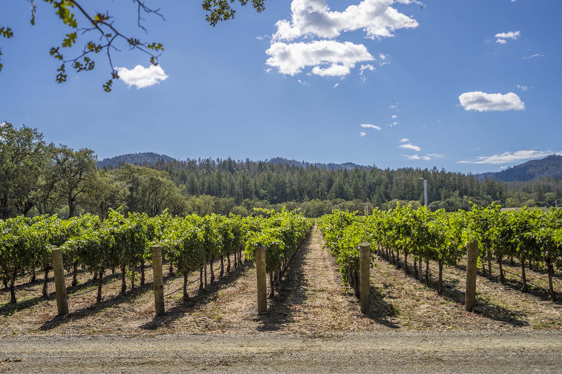 C11 - 1110 Bale Ln-305-Edit HR