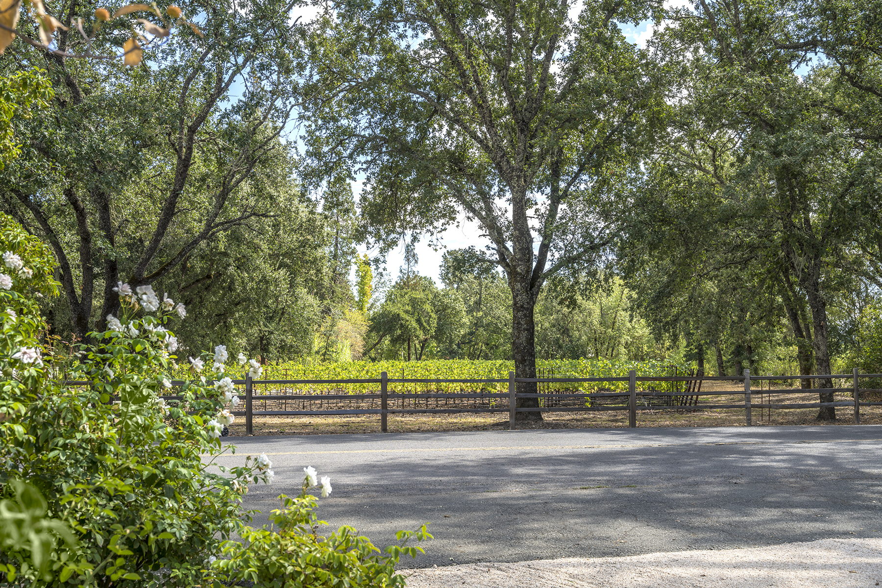 C12 - 1110 Bale Ln-95-Edit HR EDIT