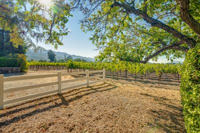 A05 - 061-DSC02026_EDITED