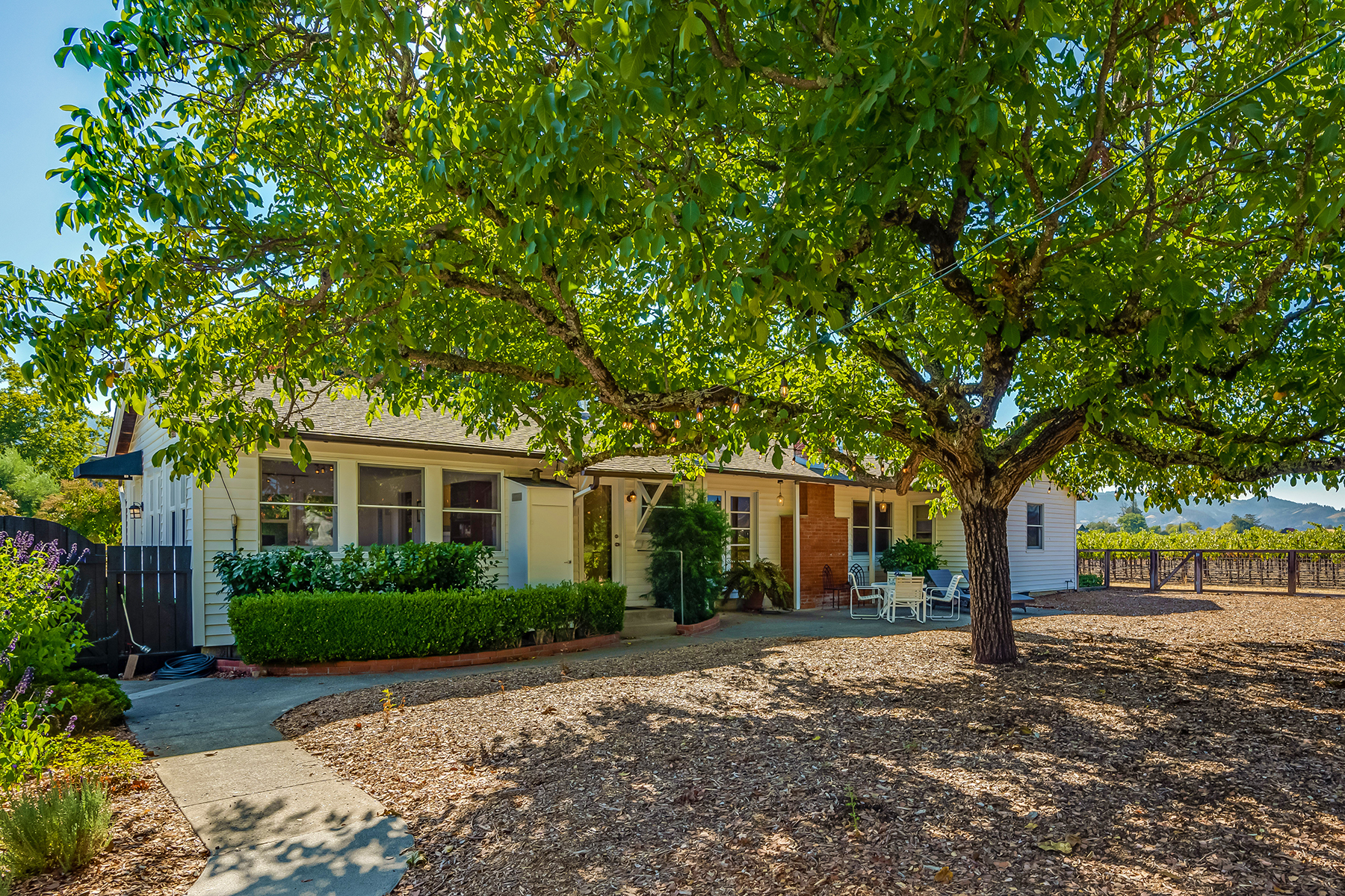 C06 - 047-DSC01979_EDITED