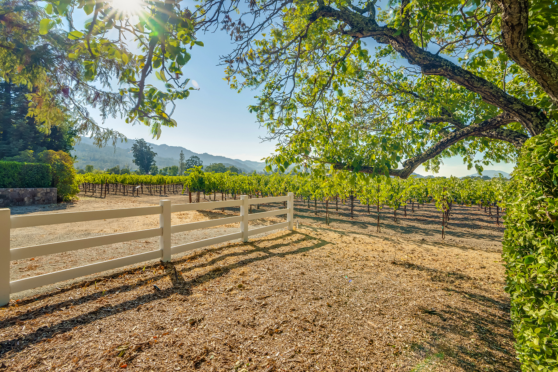 A04 - 061-DSC02026_EDITED