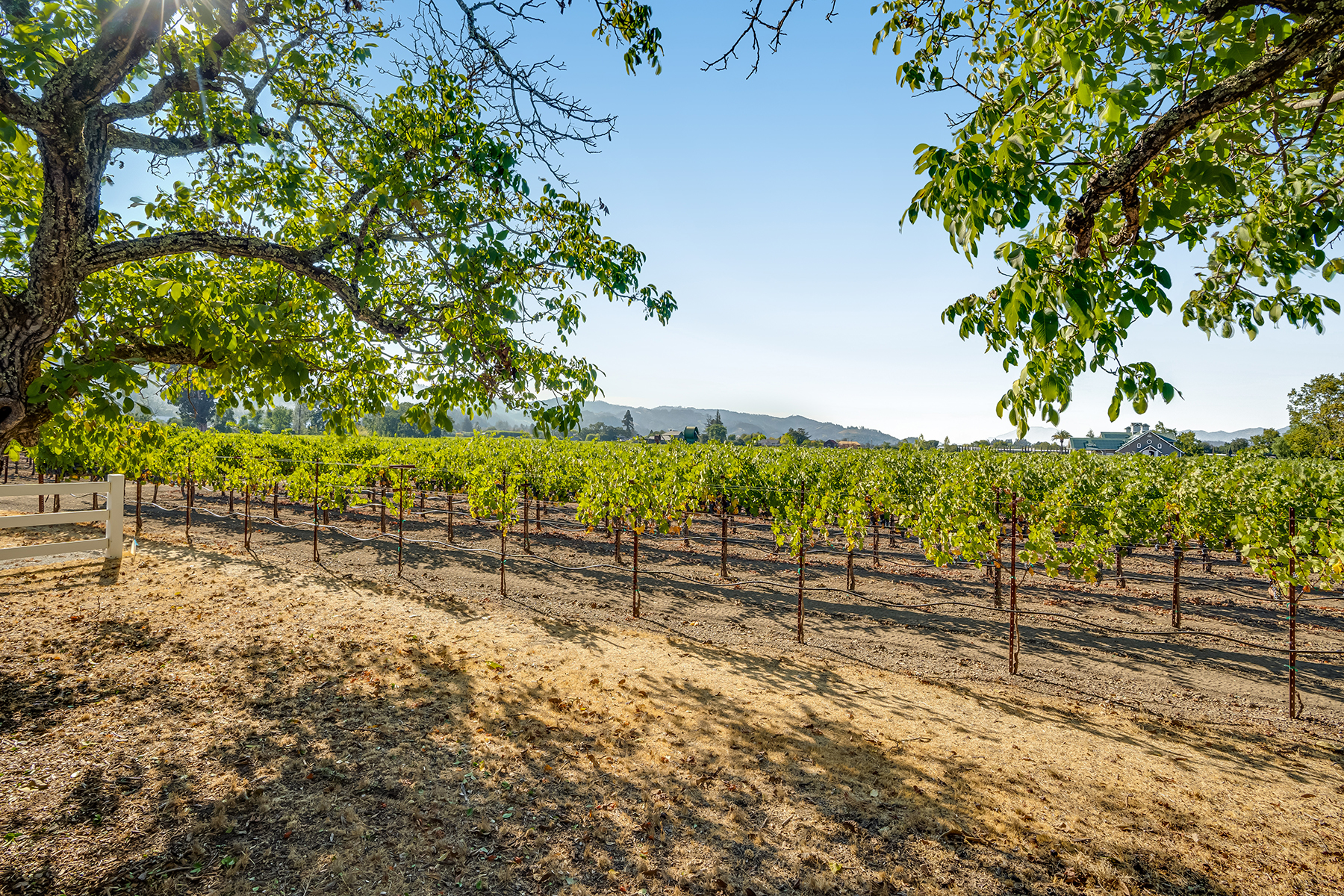 C01 - 062-DSC02029_EDITED