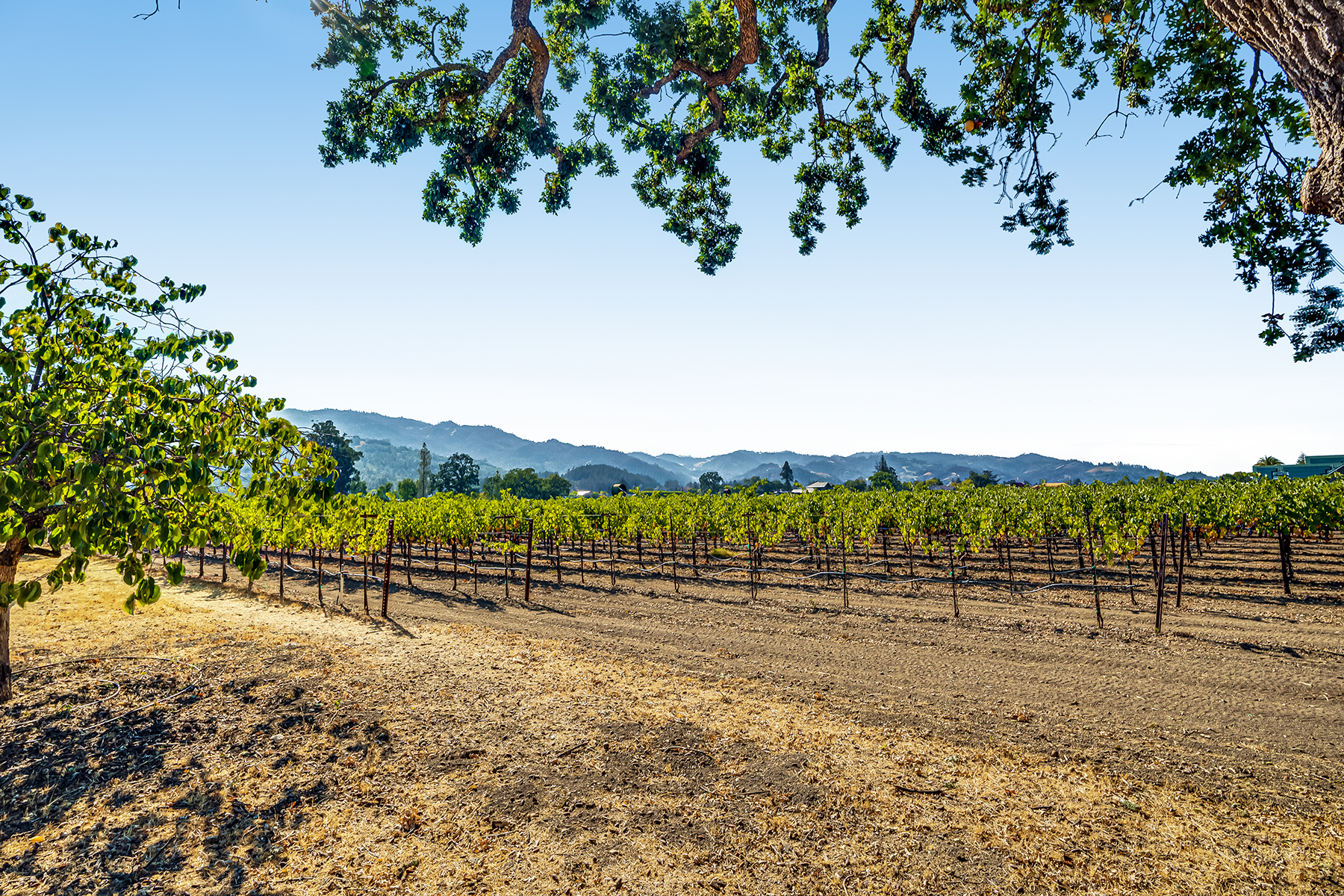 C02 - 041-DSC01960_EDITED