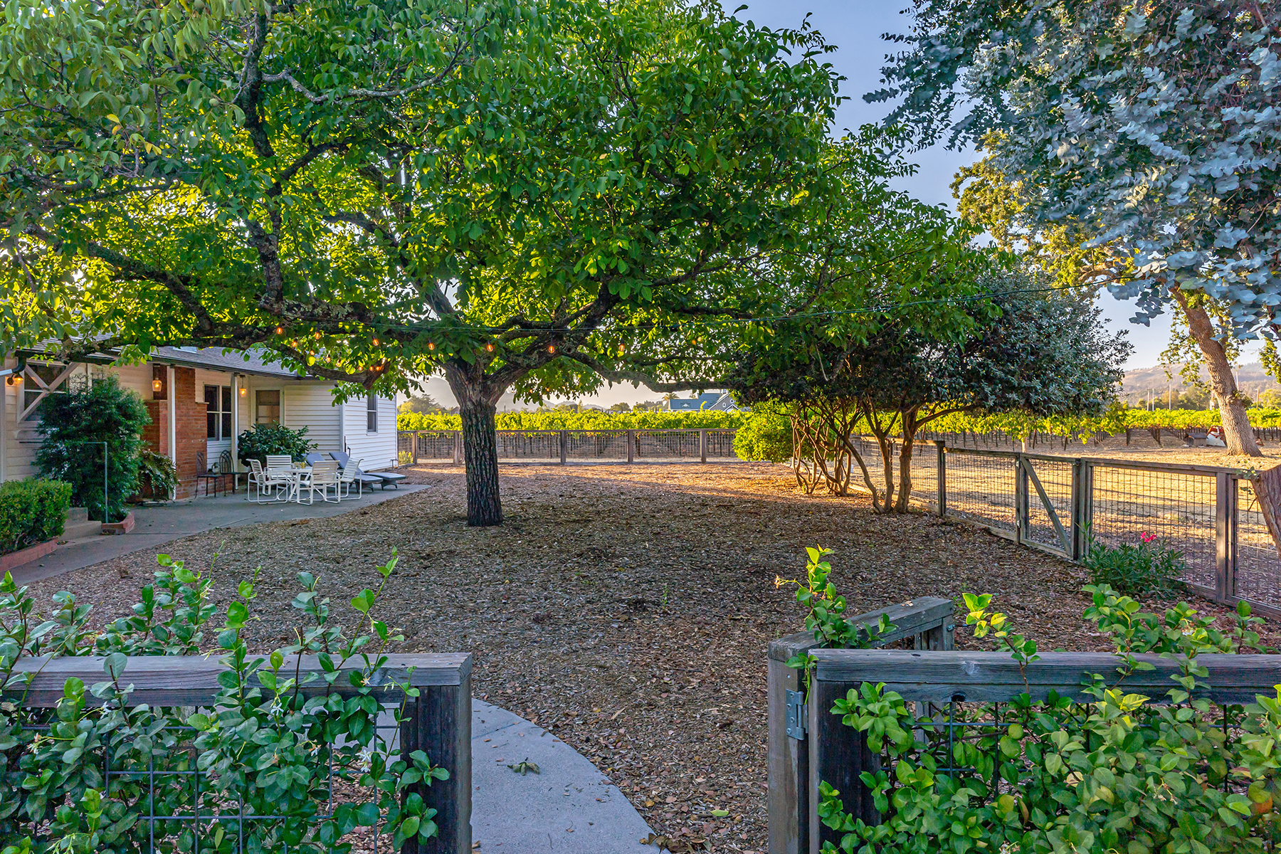 D03 - 087-DSC02175_EDITED