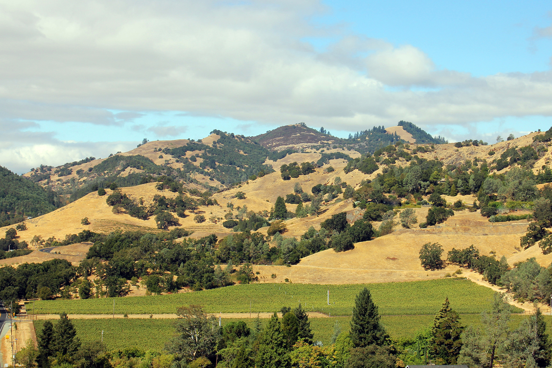06 - Vineyard looking NW