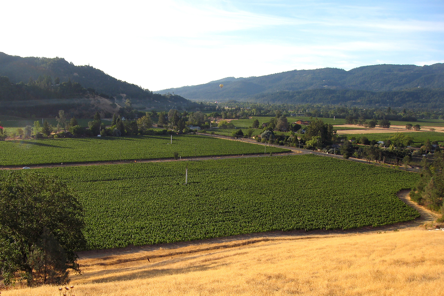 09 - Vineyard looking SE