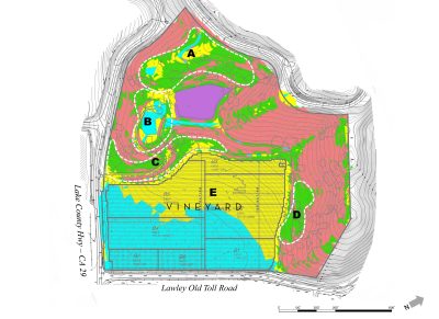P8 - Slope Analysis 2