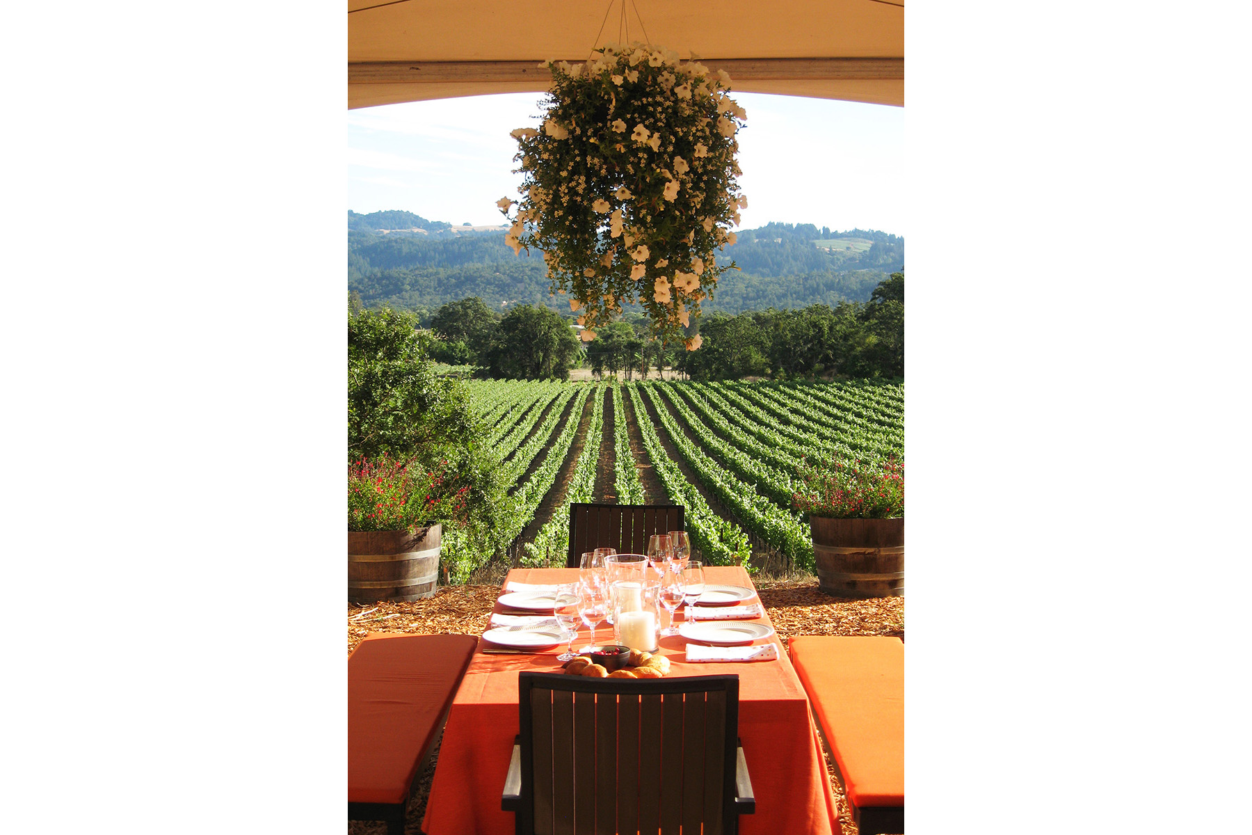 14 - Lunch in the Vineyard_Cropped