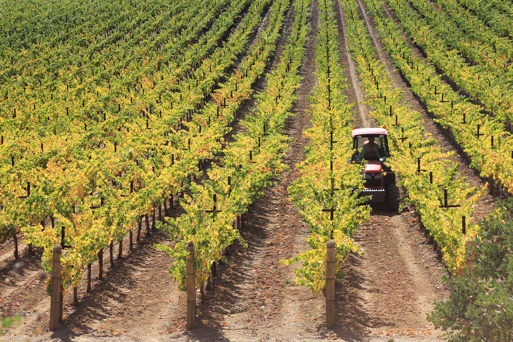 18 - Harvest & Tractor 2