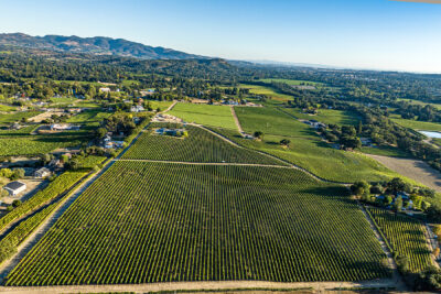 A01 - 037-DJI_0668CROPPEDROTATED