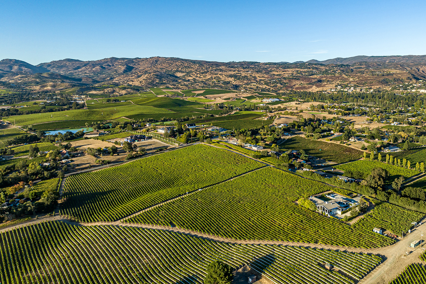 A03- 041-DJI_0672CROPPED