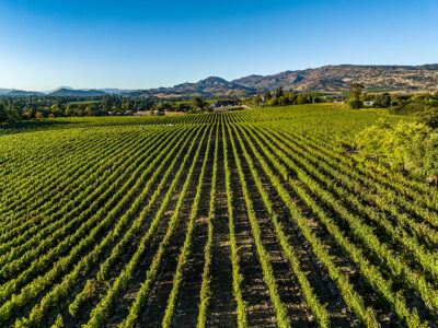 B01 - 043-DJI_0674