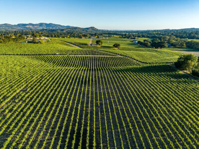 B02 - 053-DJI_0684