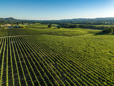 B03 - 049-DJI_0680