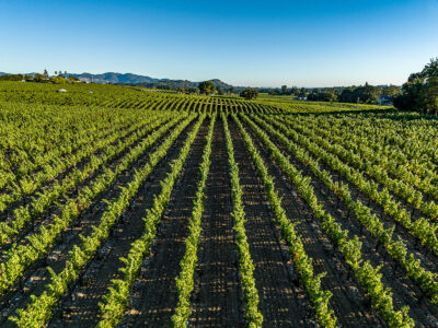 B05- 055-DJI_0686