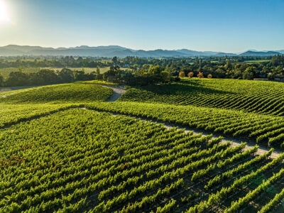 G02 - 065-DJI_0696