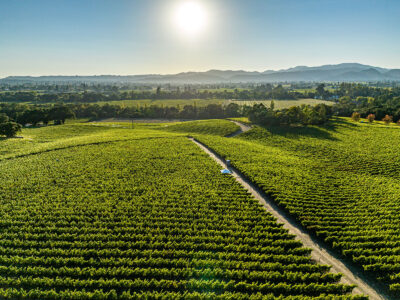 G03 - 048-DJI_0679