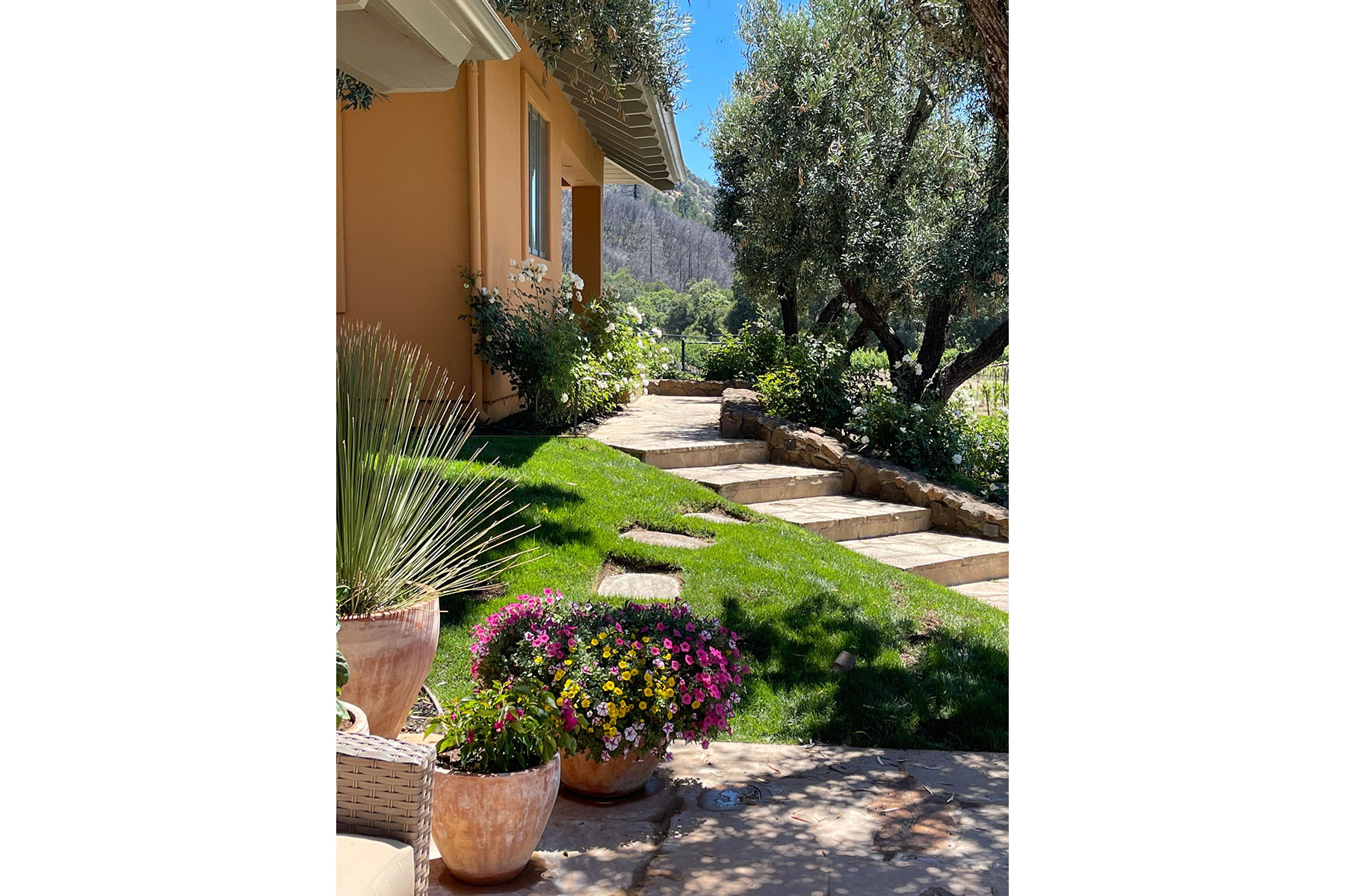 G01 - IMG_4508_Cropped