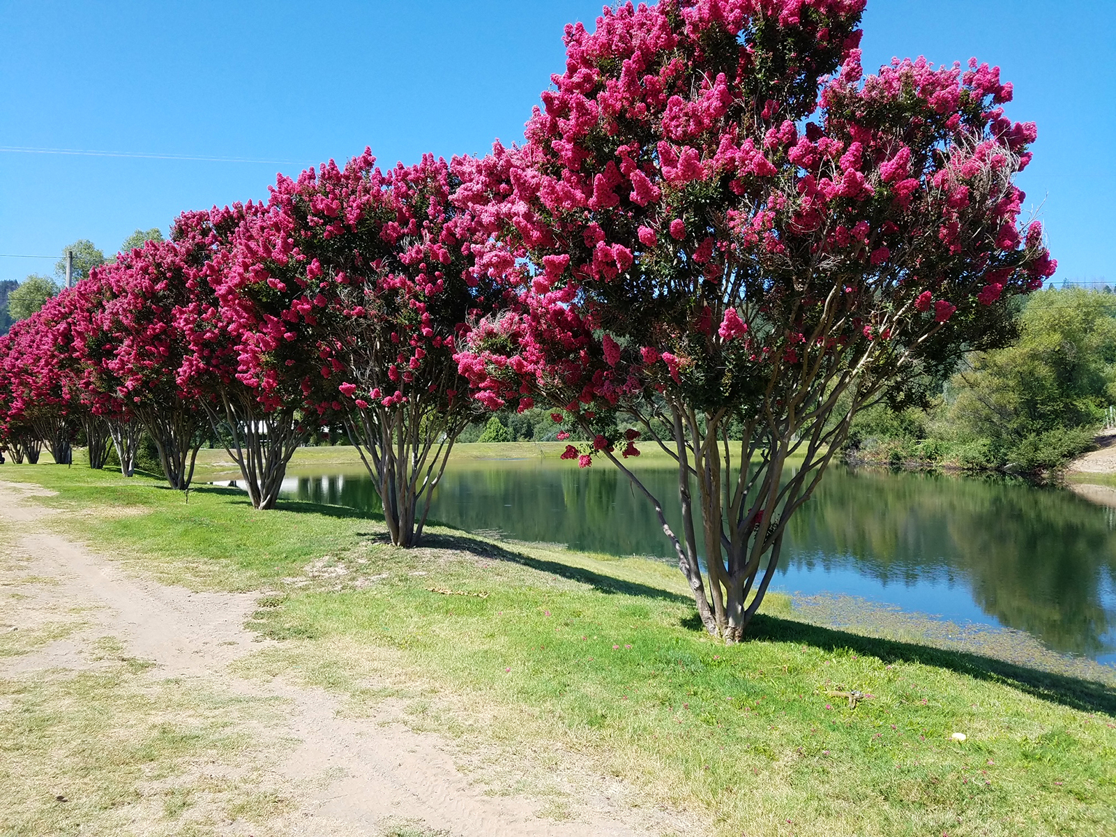 K03 - _storage_emulated_0_DCIM_Camera_20200807_111052_EDITED