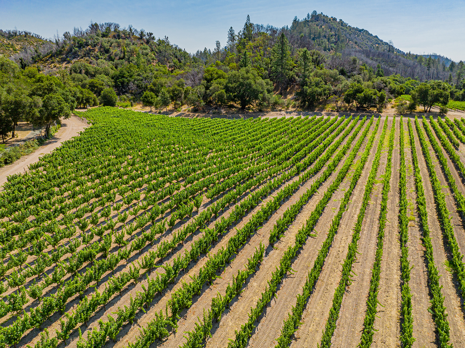 K06 - 085-DJI_0834_EDITED