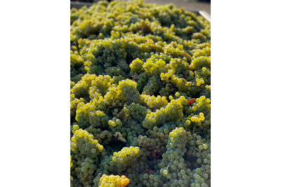 K09 - IMG_2796_Cropped