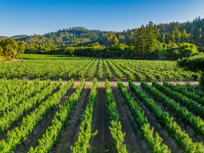 K12 - 189-DJI_0969