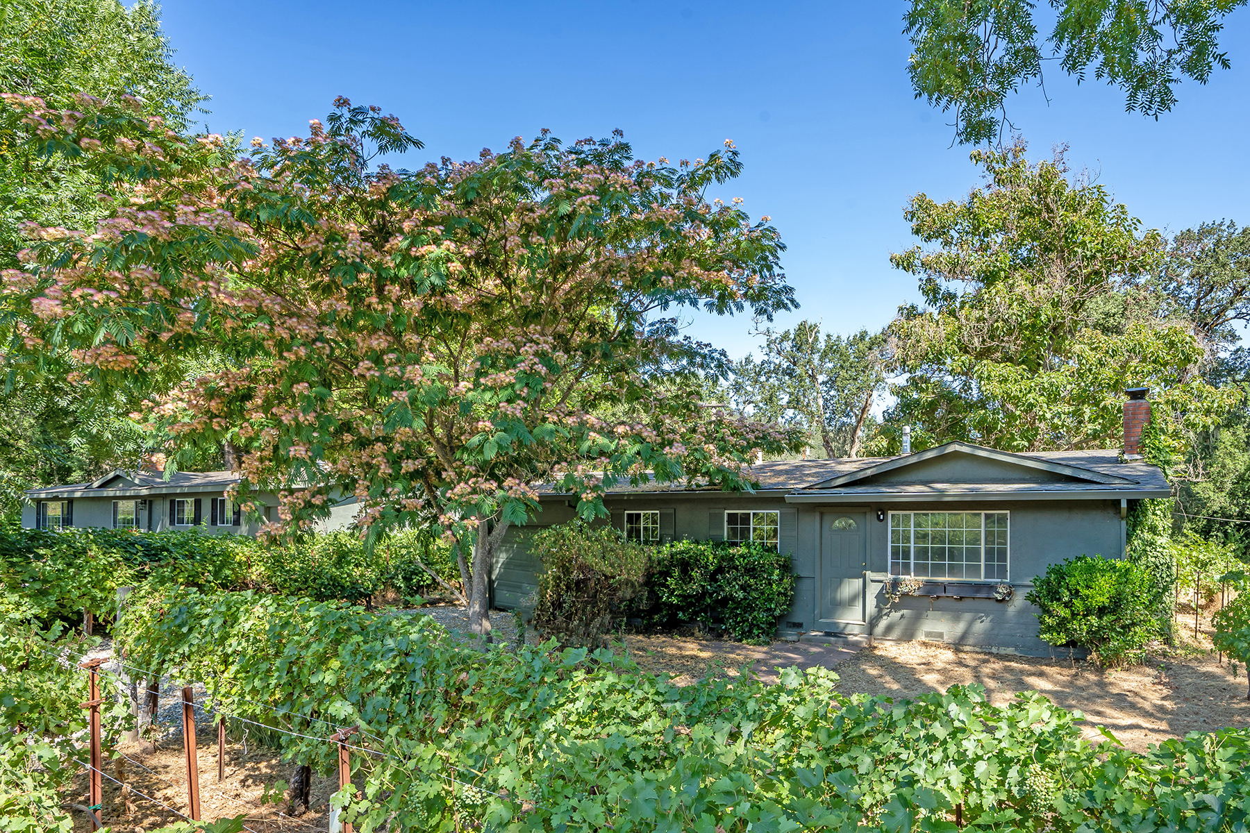 K16 - 397-DSC04794EDIT