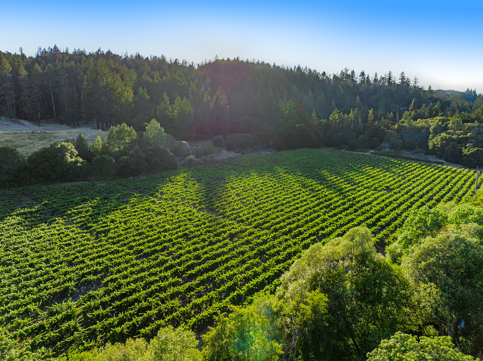 K21 - 178-DJI_0958_EDITED