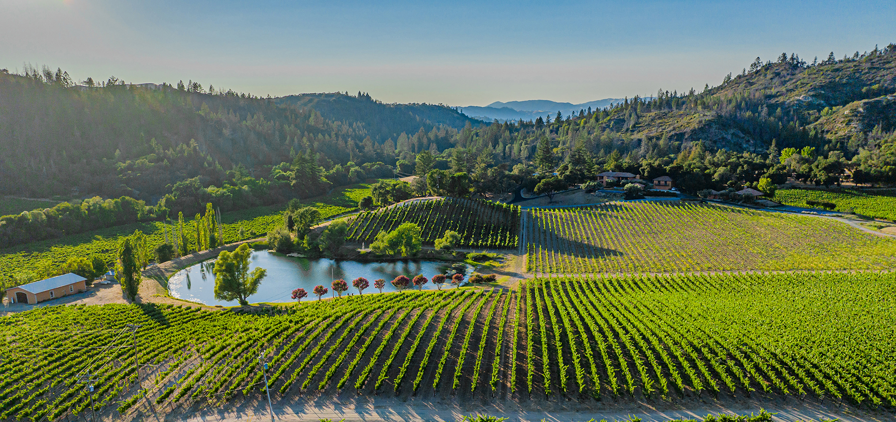 K22 - 200-DJI_0980aCROPPED