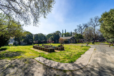 16-DSC07557