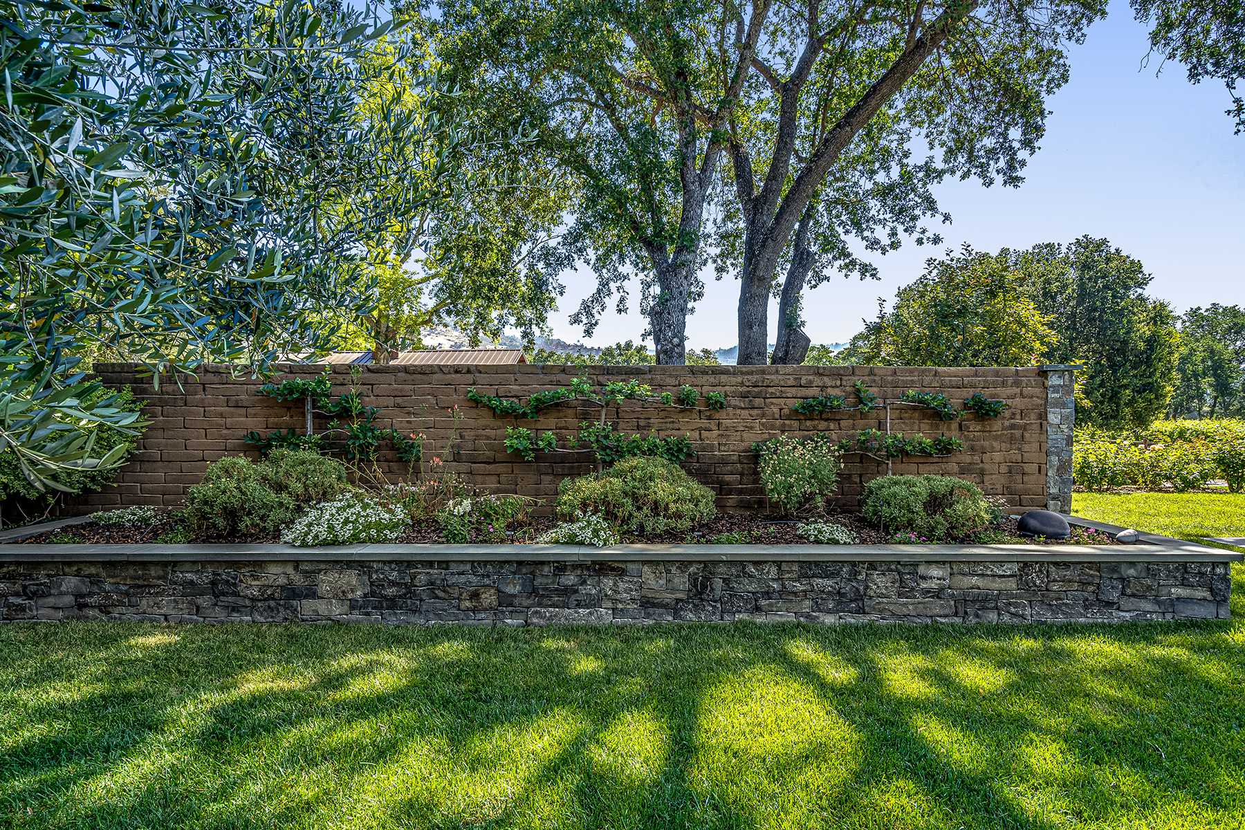 C03 - 044-DSC00974_EDITED