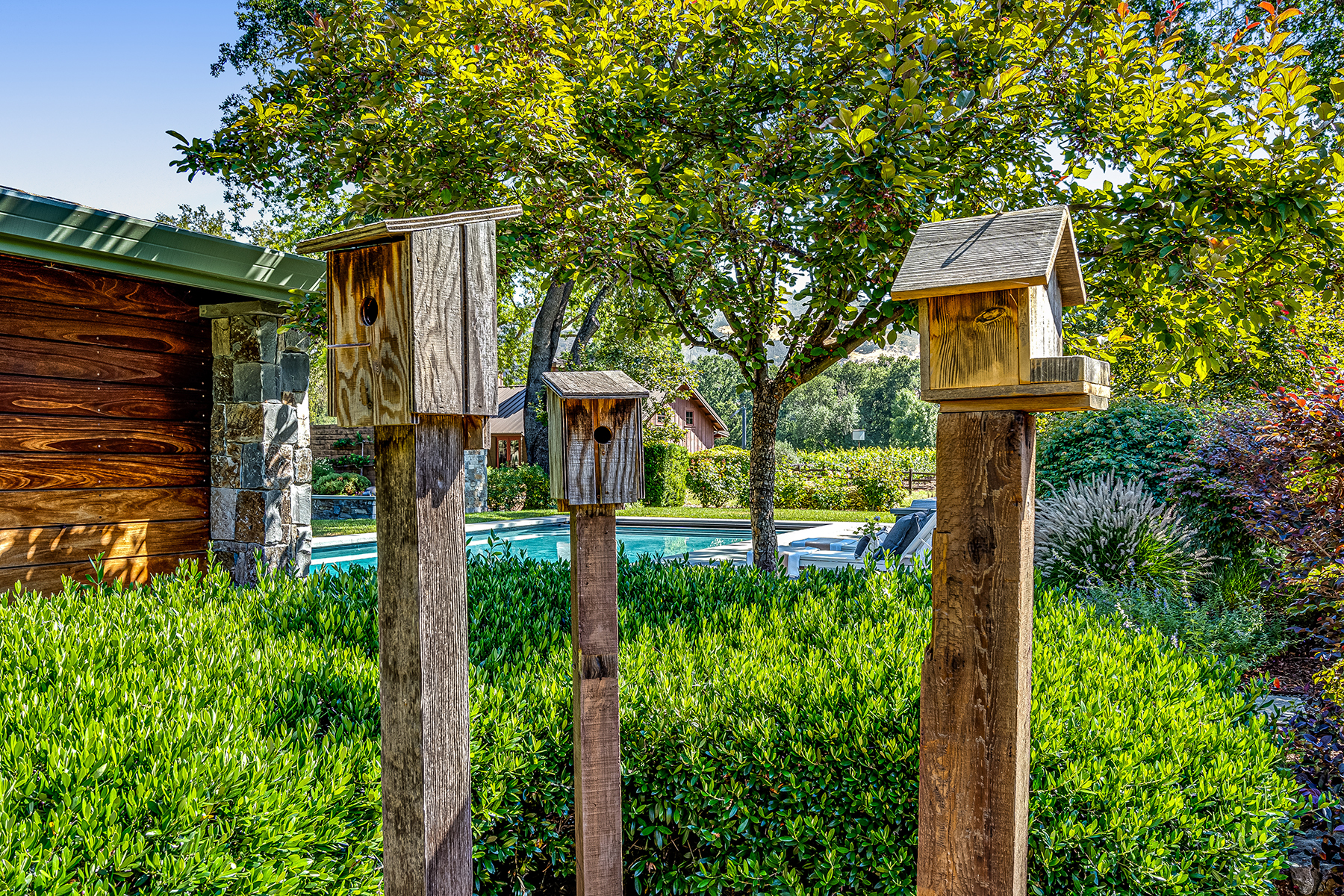 C17 - 050-DSC00992_EDITED