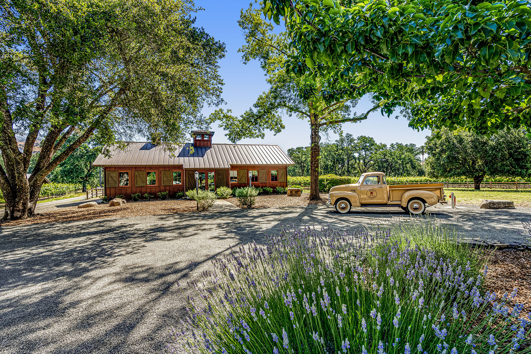 D04 - 069-DSC01049 EDIT_EDITED_Small