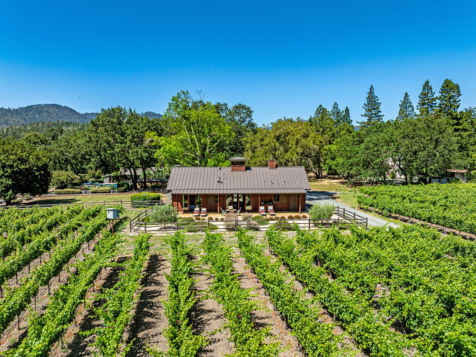 D06 - 169-DJI_0399EDIT