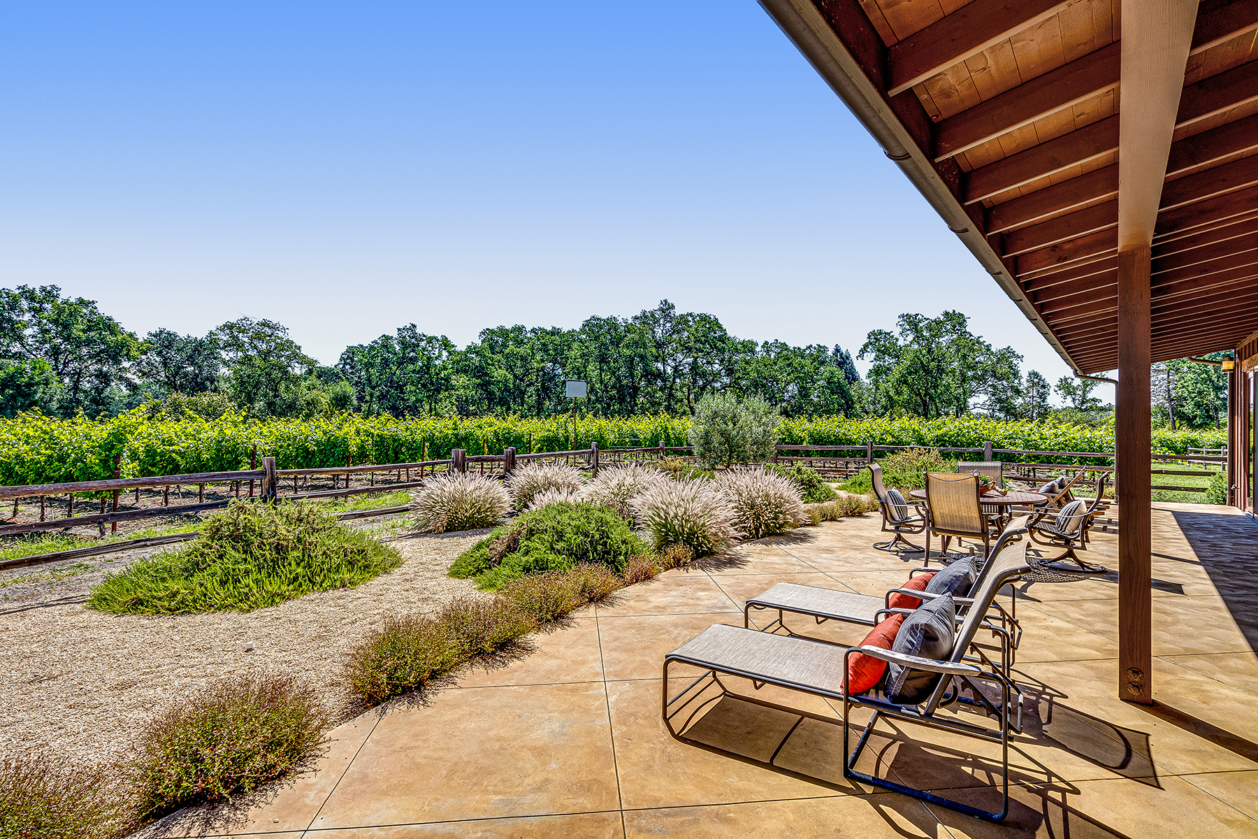 D16 - 085-DSC01097EDIT_EDITED