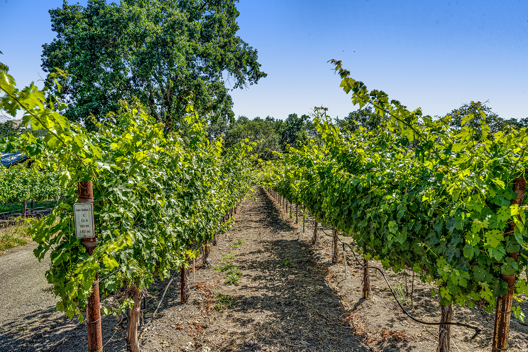 D17 - 081-DSC01085_EDITED