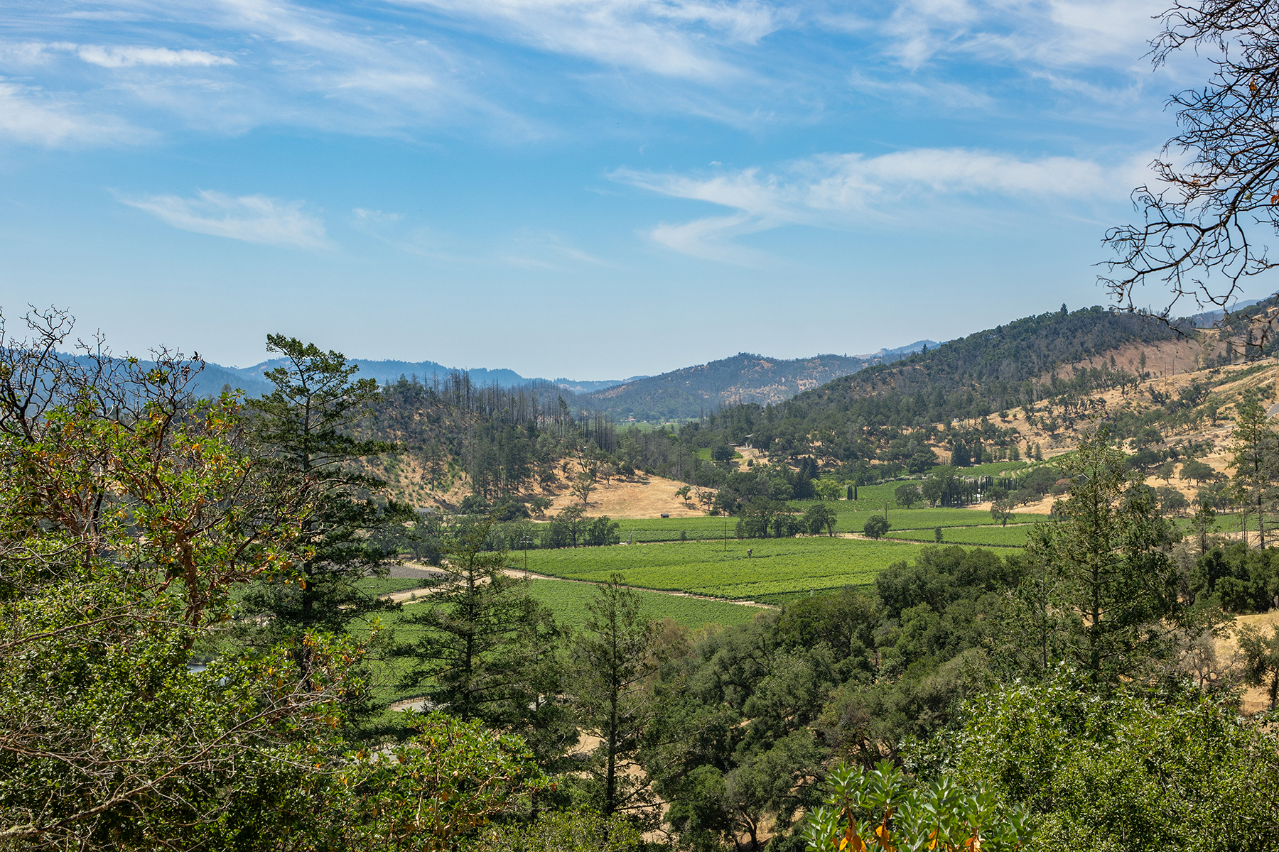 B21 - 067_Private Residence Napa_by mrbarceloCROPPED