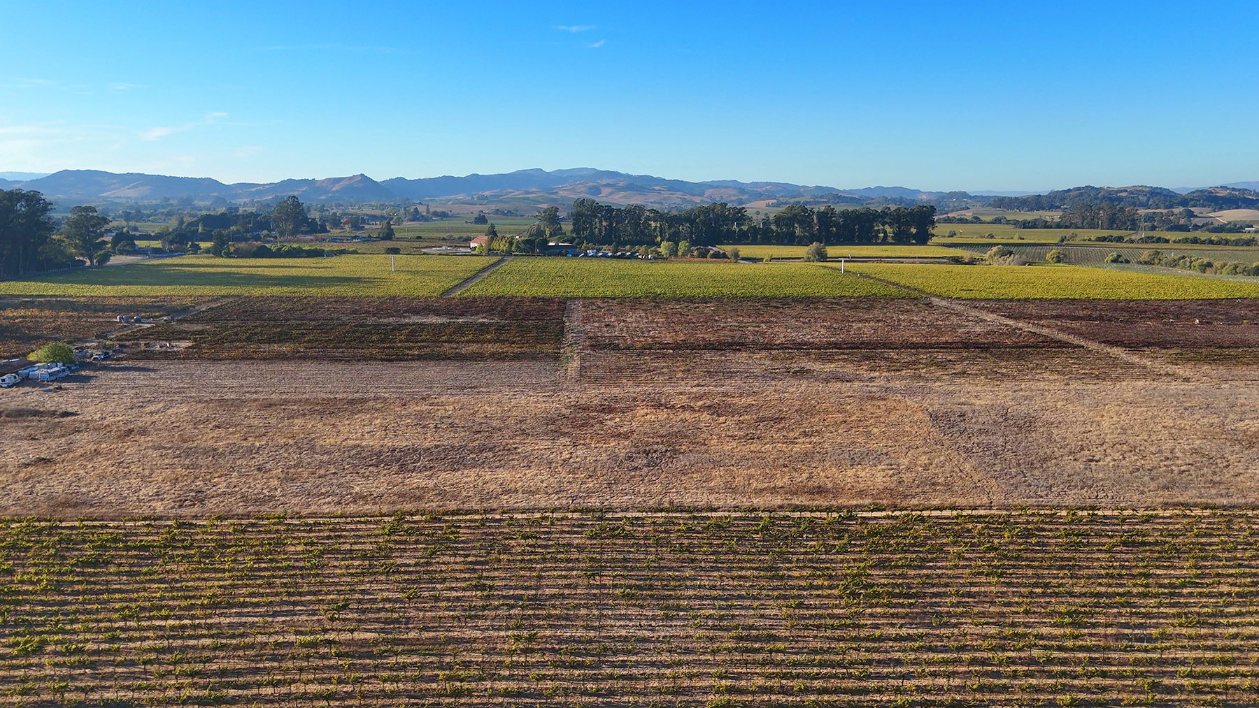 A03_CuttingsWharfPhotos00_EDITED