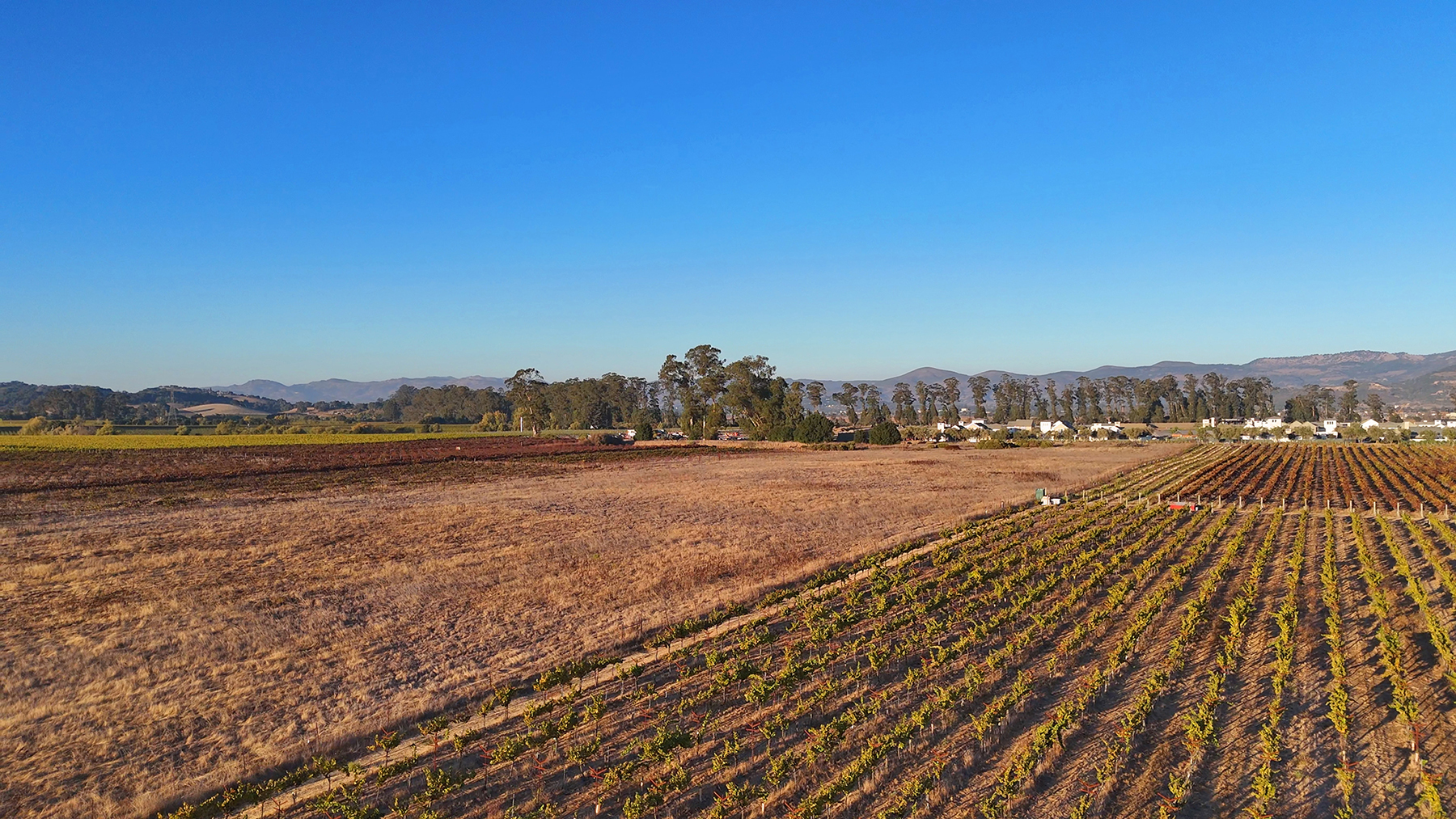 A05_CuttingsWharfPhotos22_EDITED