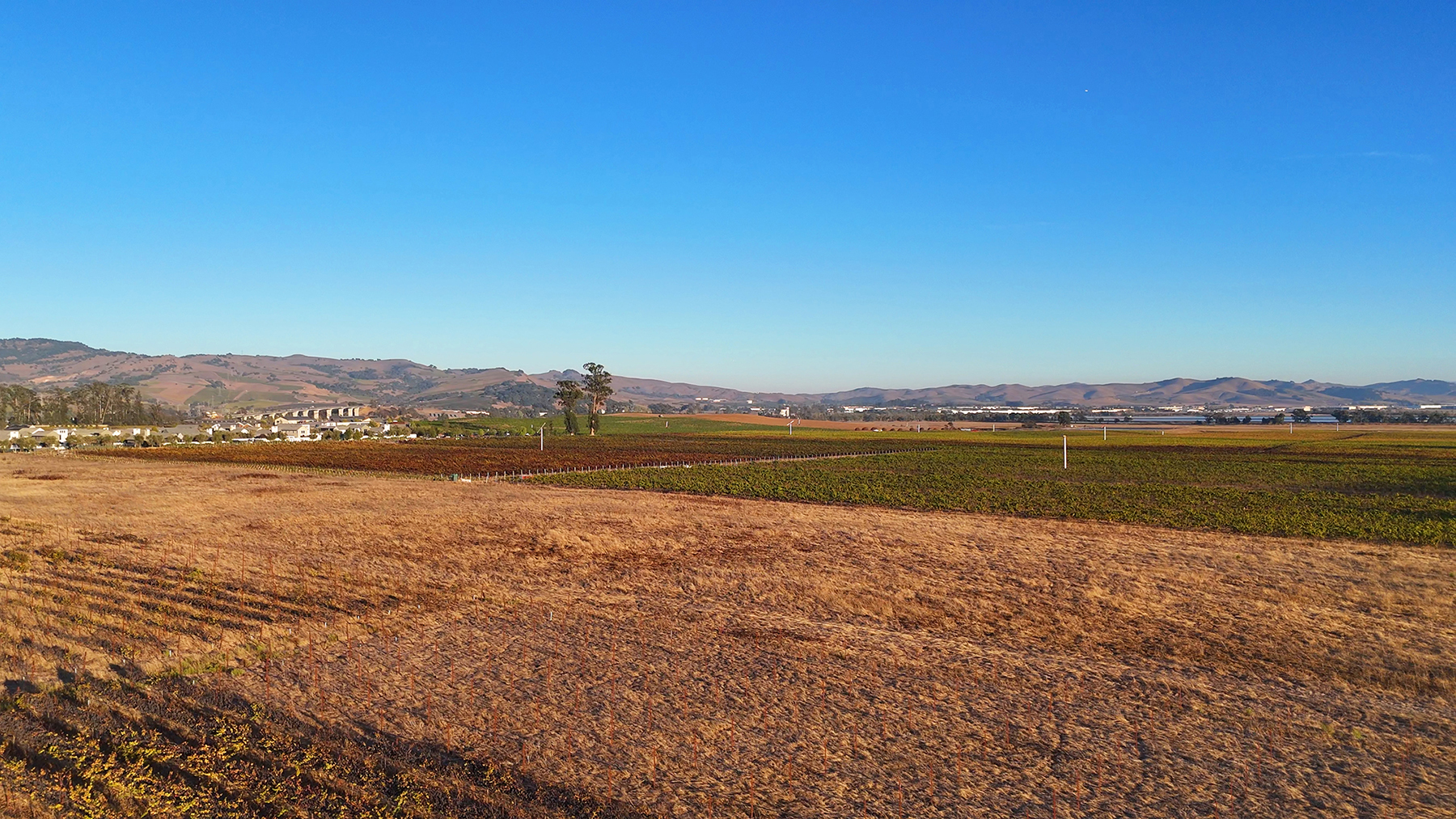 A07_CuttingsWharfPhotos16_EDITED