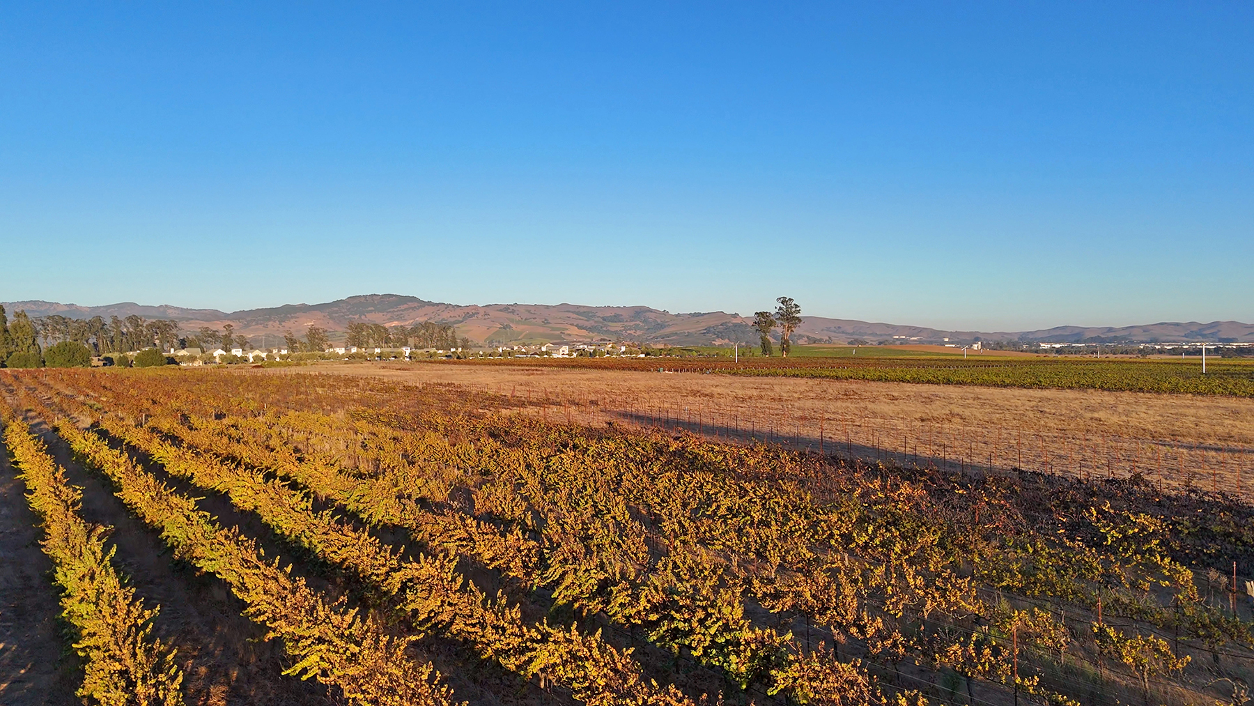 A08_CuttingsWharfPhotos36_EDITED