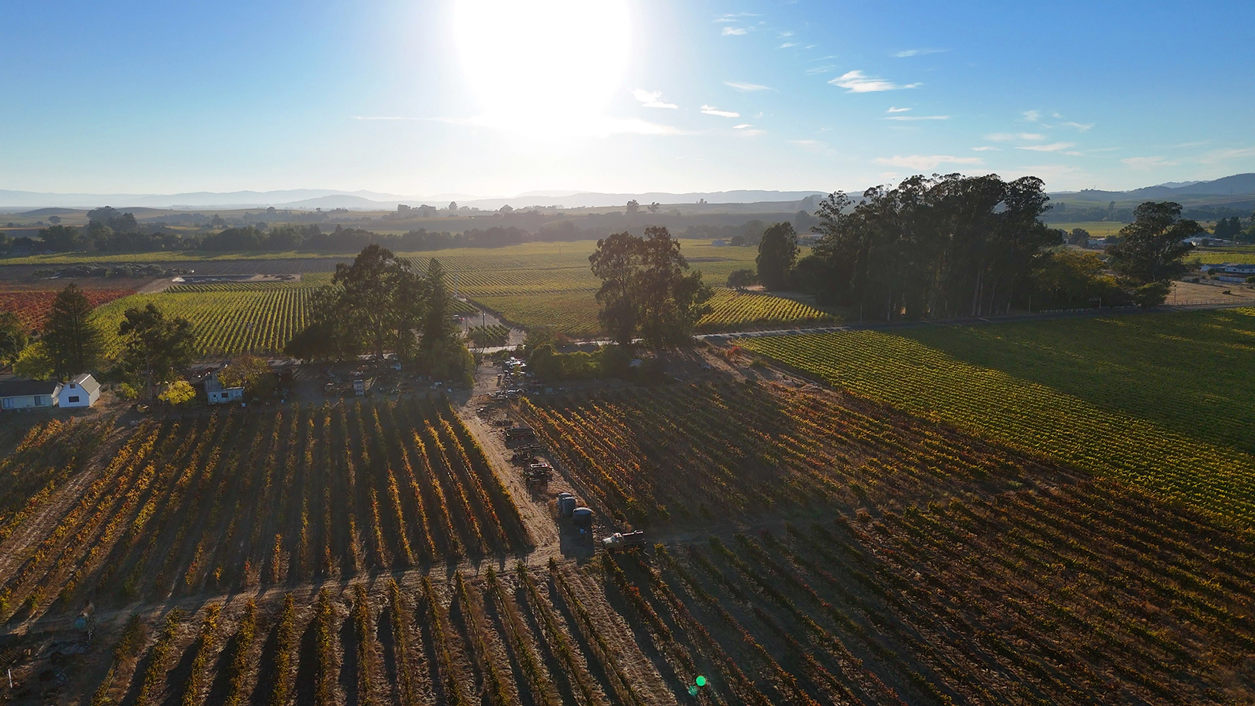 A09_CuttingsWharfPhotos07_EDITED