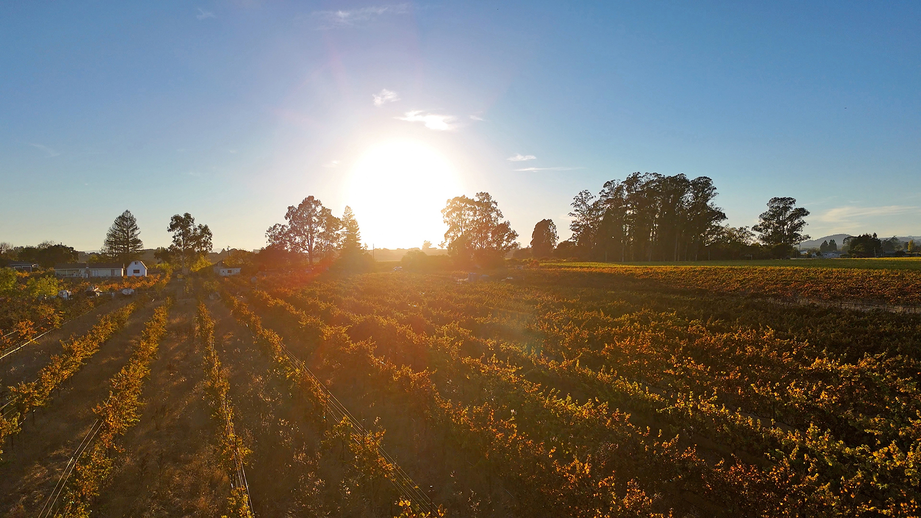 A10_CuttingsWharfPhotos35_EDITED