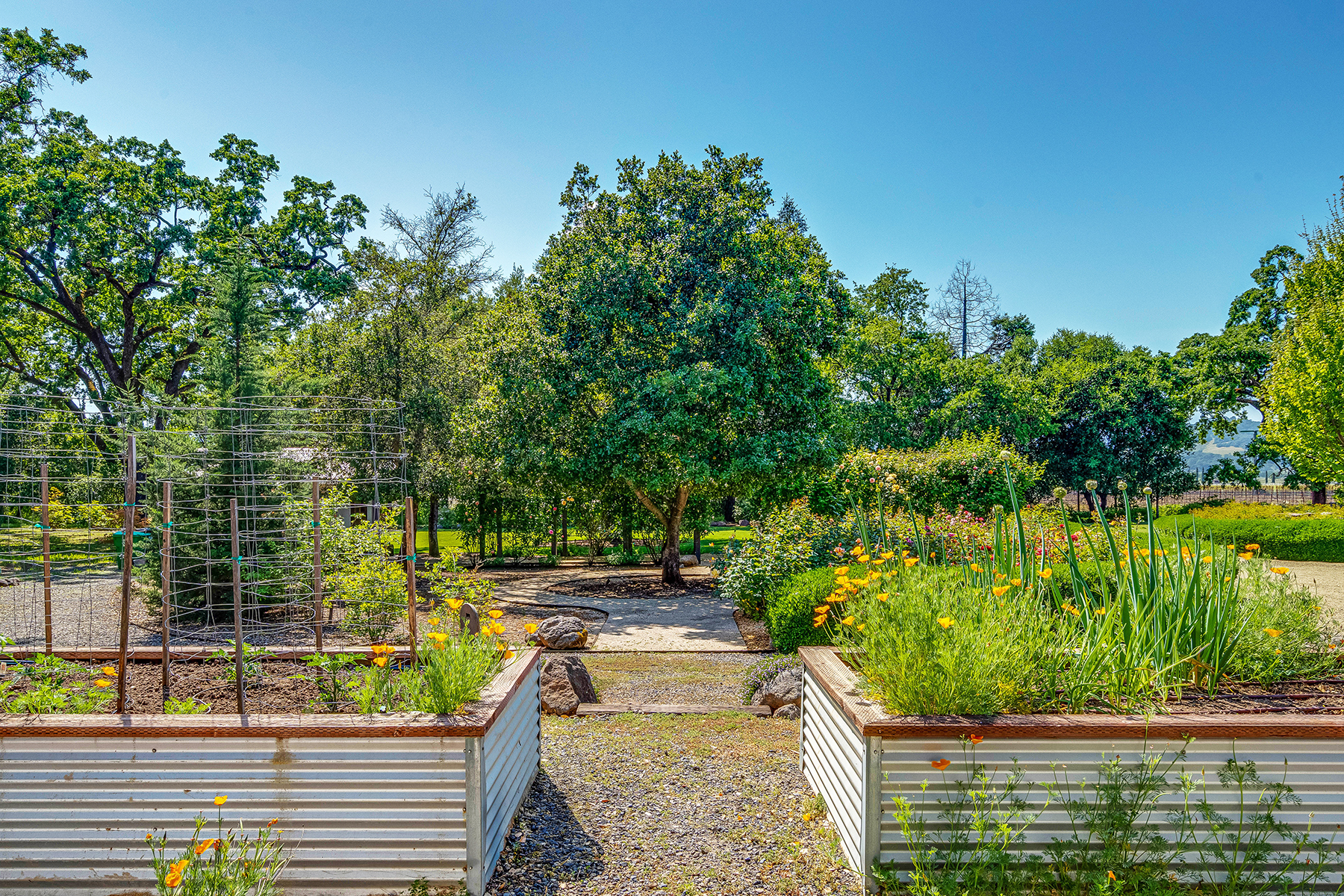 D11A - 307-DSC05777_ENF_EDITED2