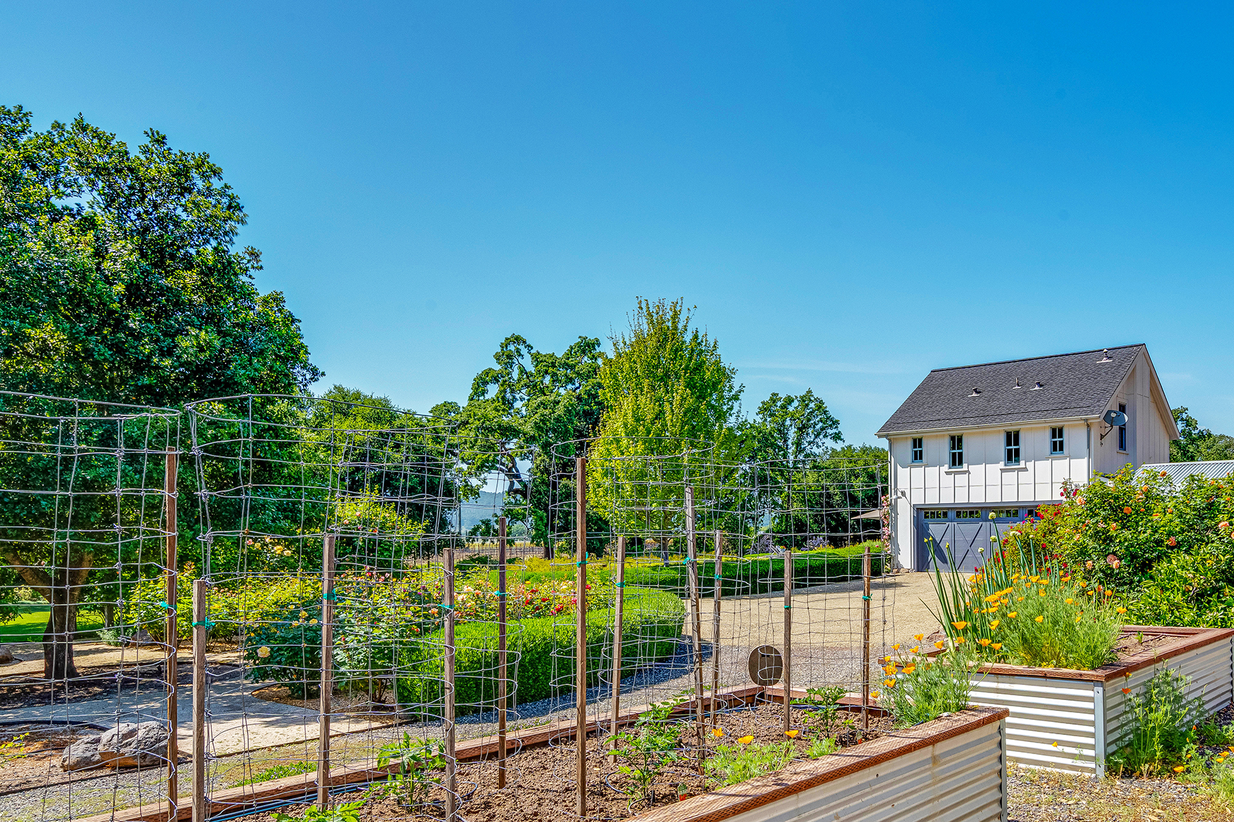 D11B - 308-DSC05780_ENF_EDITED2