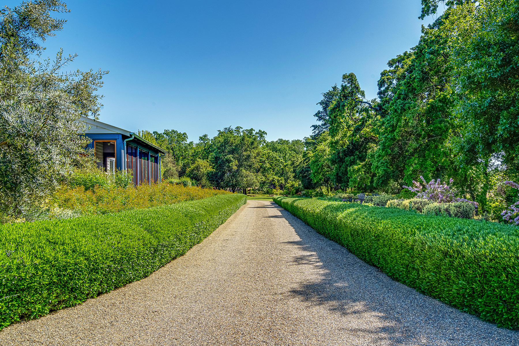 D13 - 313-DSC05801_ENF_EDITED