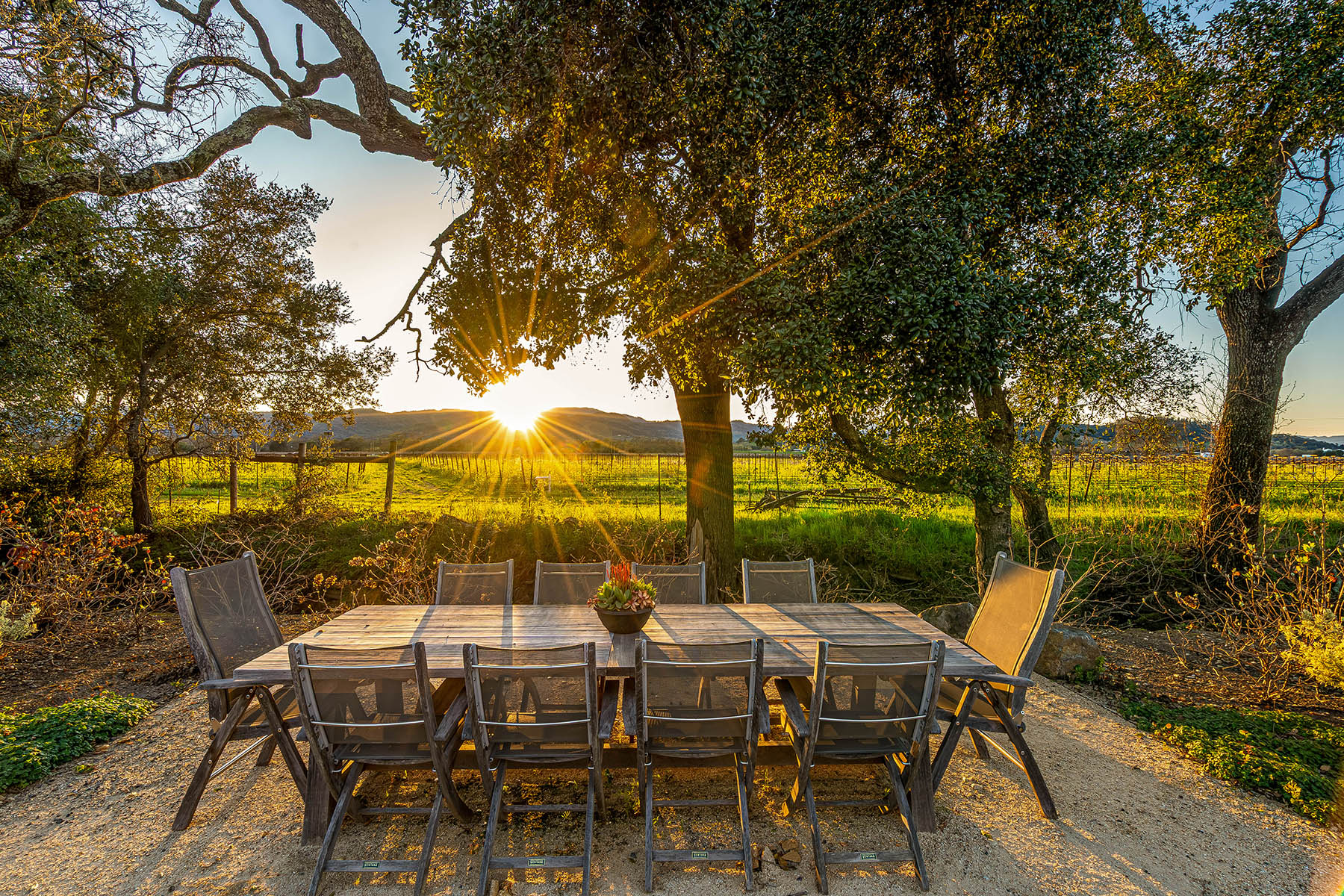 E02 - 233-DSC02485-Enhanced-NR